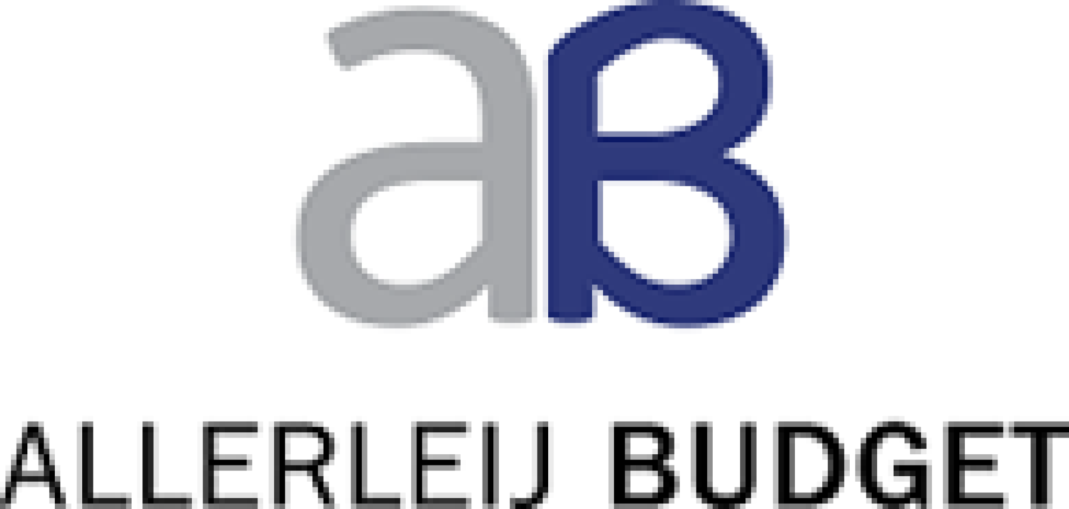 Allerleij Budget