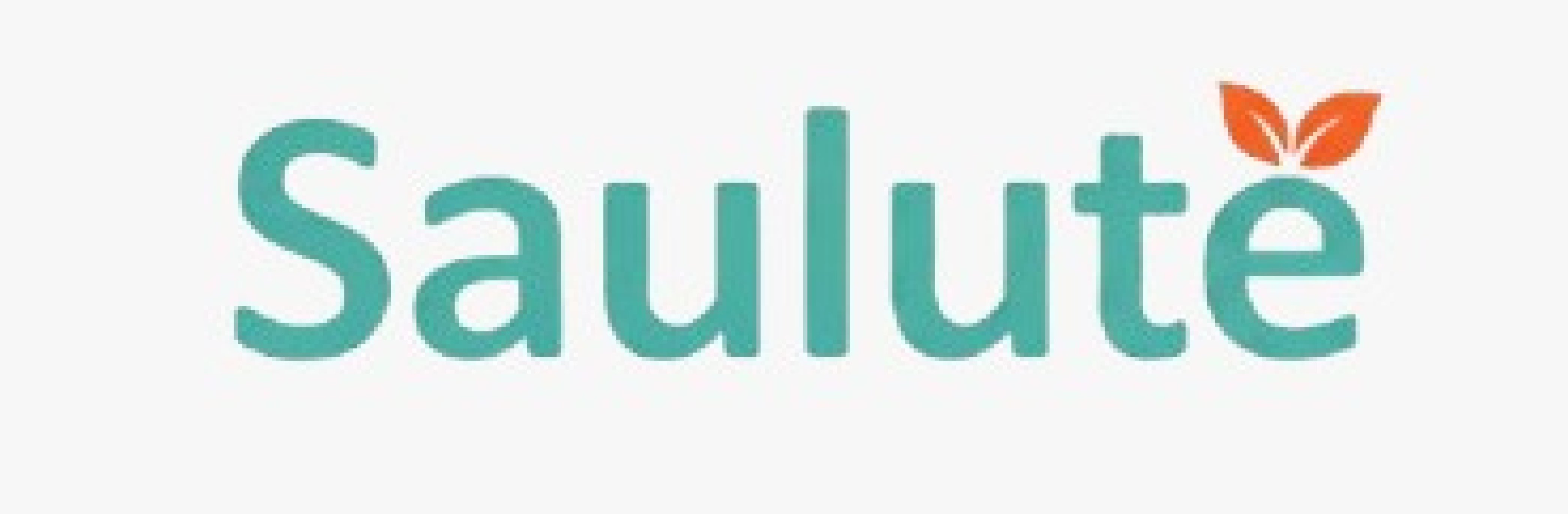 Saulute B.V.