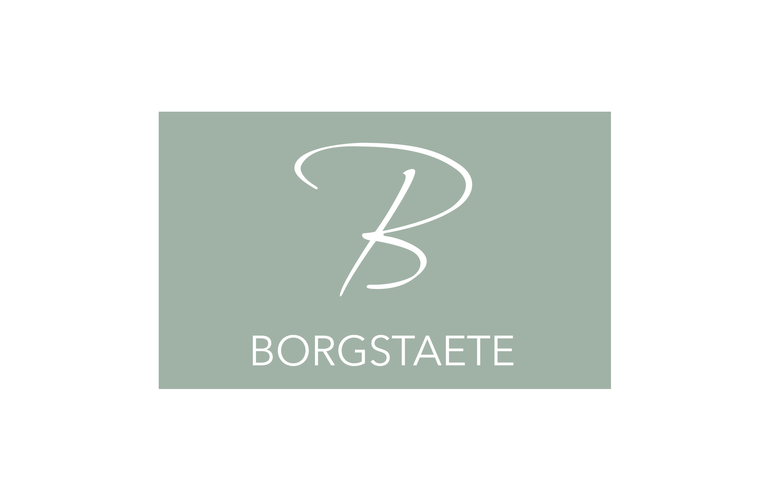 Borgstaete BV