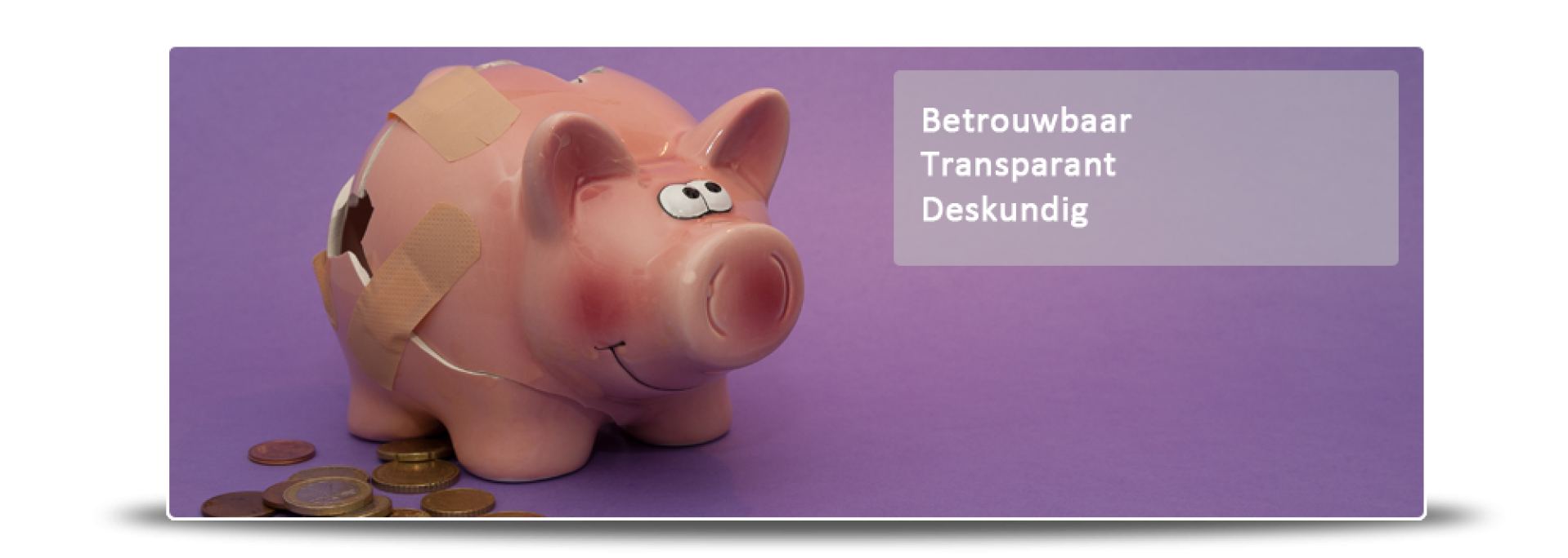 Metiss Bewindvoering