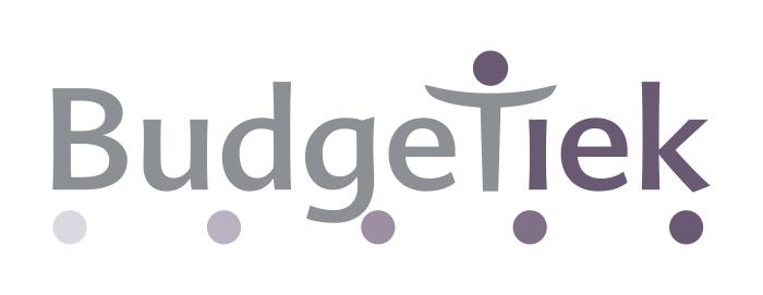 Budgetiek