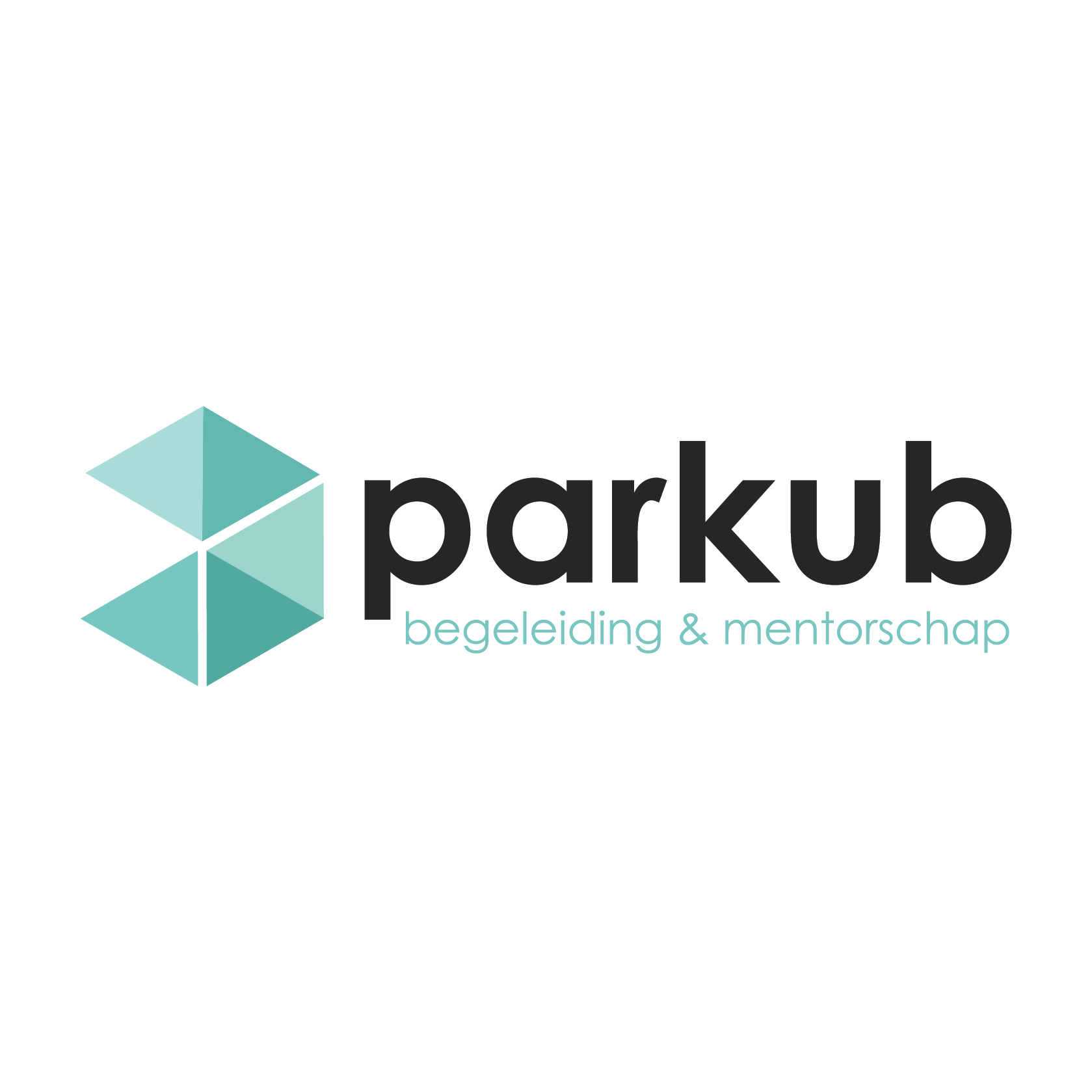 Stichting Parkub