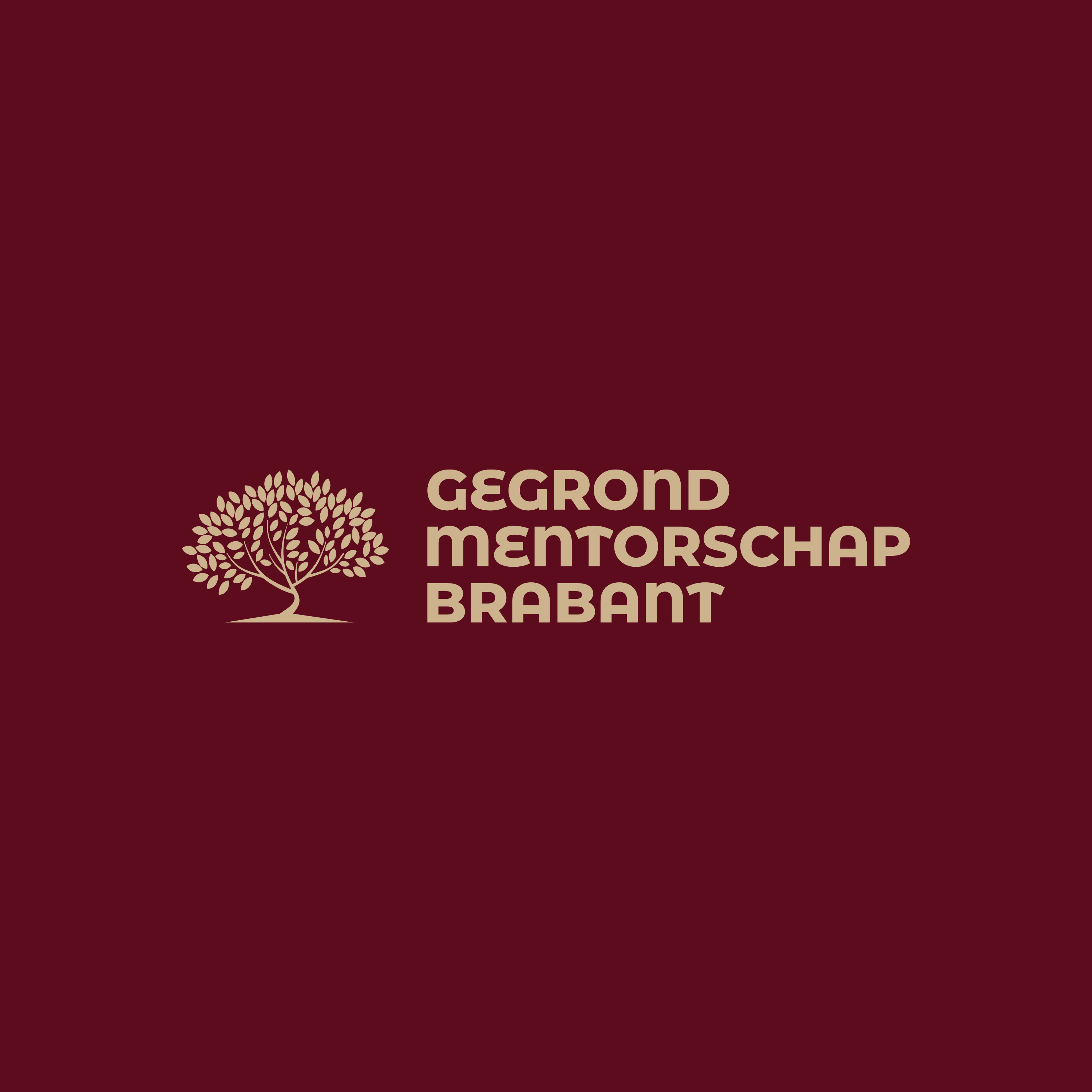 Gegrond Mentorschap Brabant