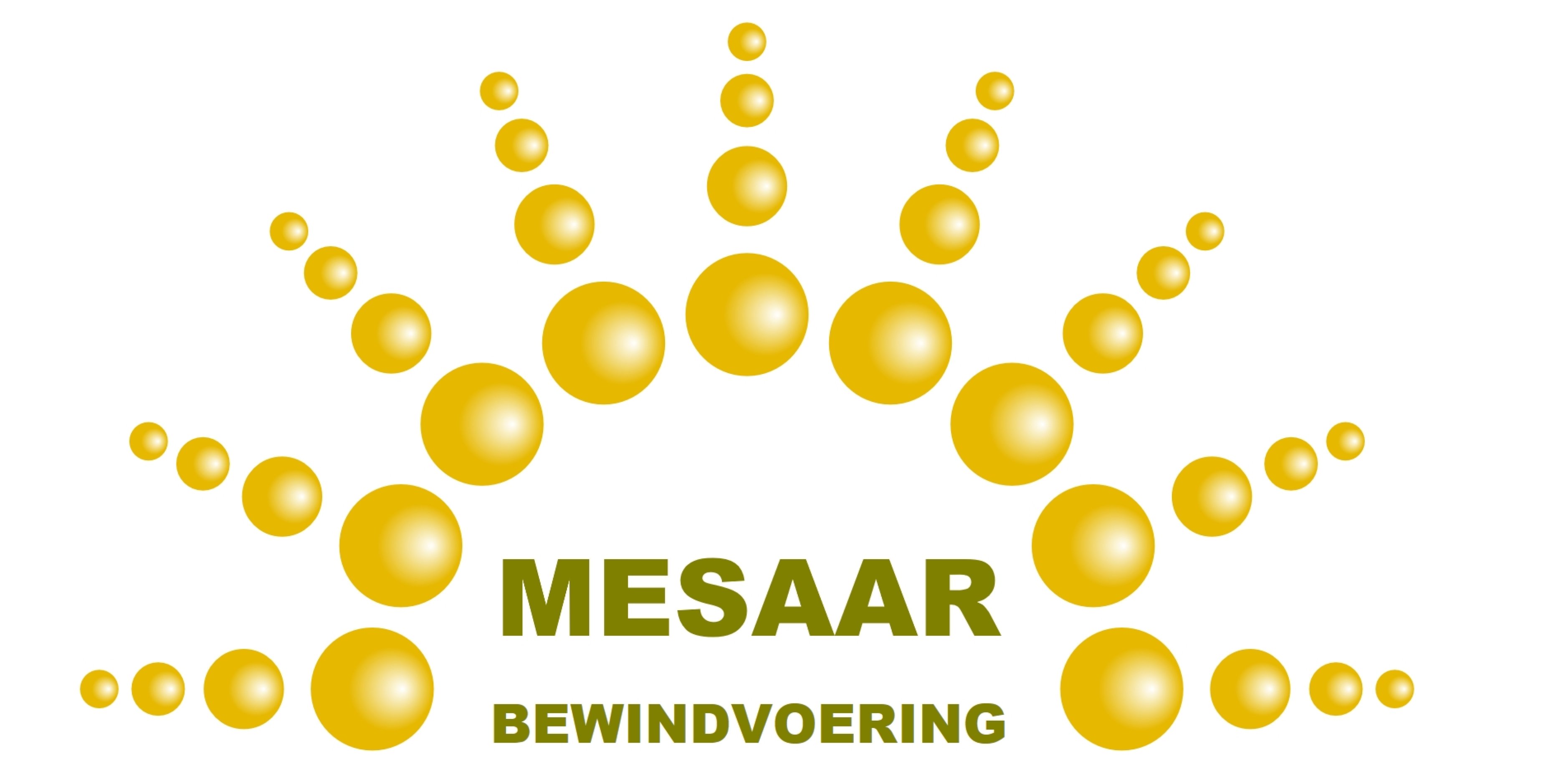 Mesaar Bewindvoering